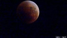 Eclipse lunar e super lua a partir de Campos do Jordão. Foto Tadeu Sales