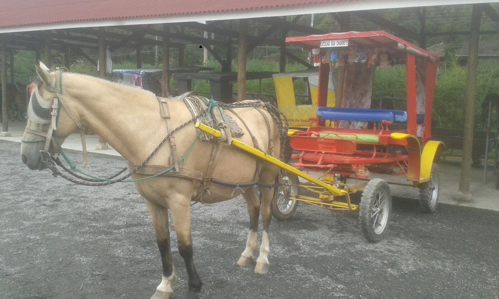 Charrete do Centro de Turismo Equestre de Campos do Jordão