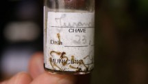 Combate a Dengue em Campos do Jordão