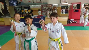 Taekwondo - foto dos meninos