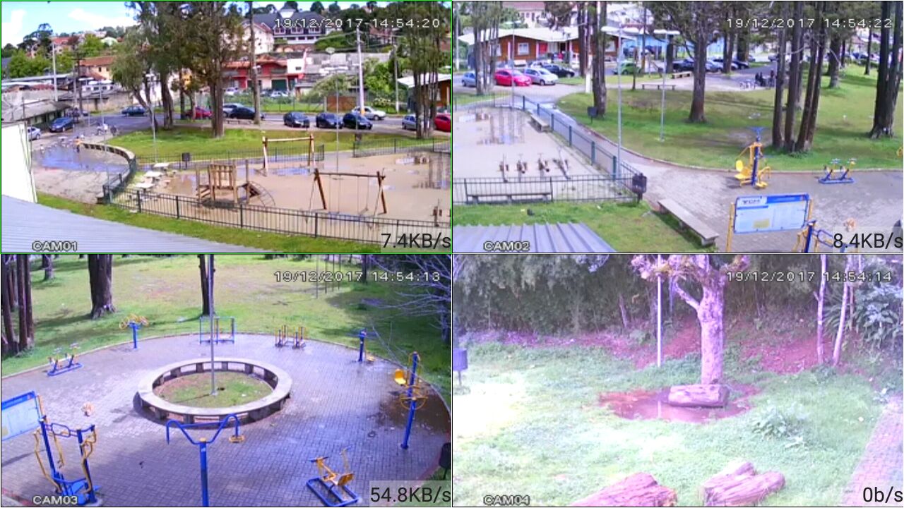 Monitoramento Parque dos Cedros