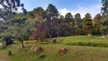 Horto Florestal de Campos do Jordão