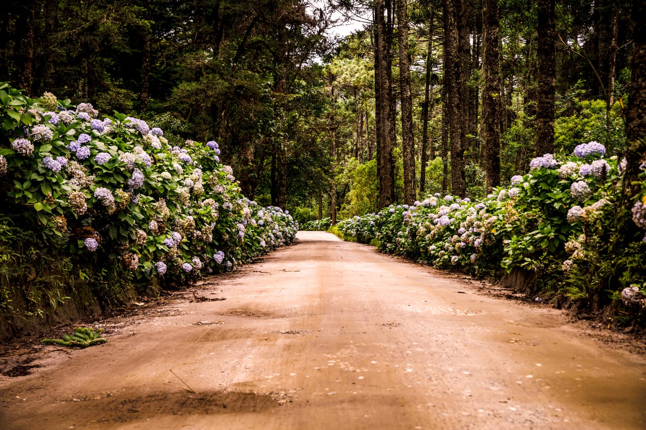 Horto Florestal – Foto/Luís Felipe Rodrigues