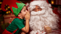“Natal 15 Anos Fundação Lia Maria Aguiar” tem início dia 10 de novembro e abre temporada natalina em Campos do Jordão