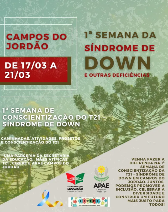 Captura de tela 2025-03-11 151646