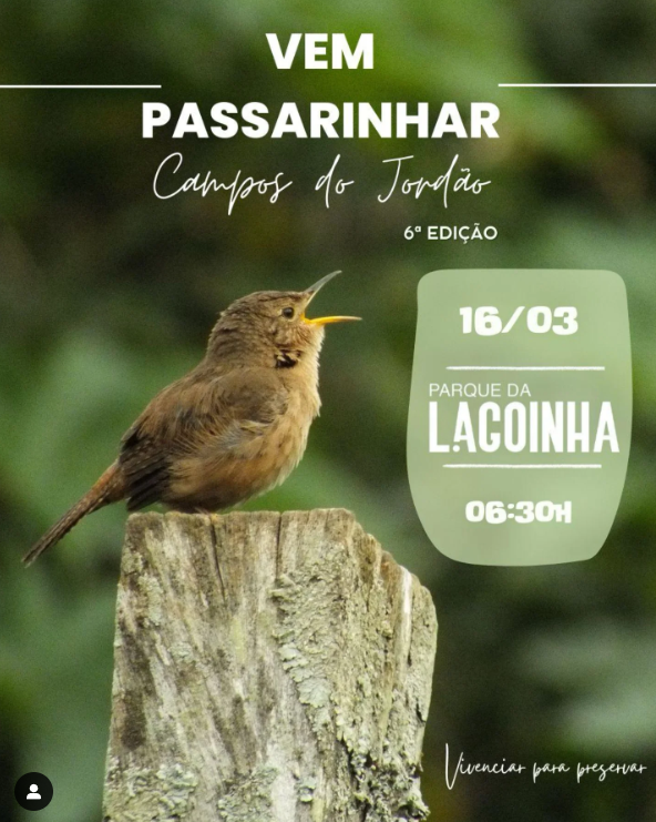 Captura de tela 2025-03-11 154654