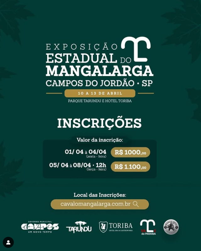 Captura de tela 2025-04-10 112722
