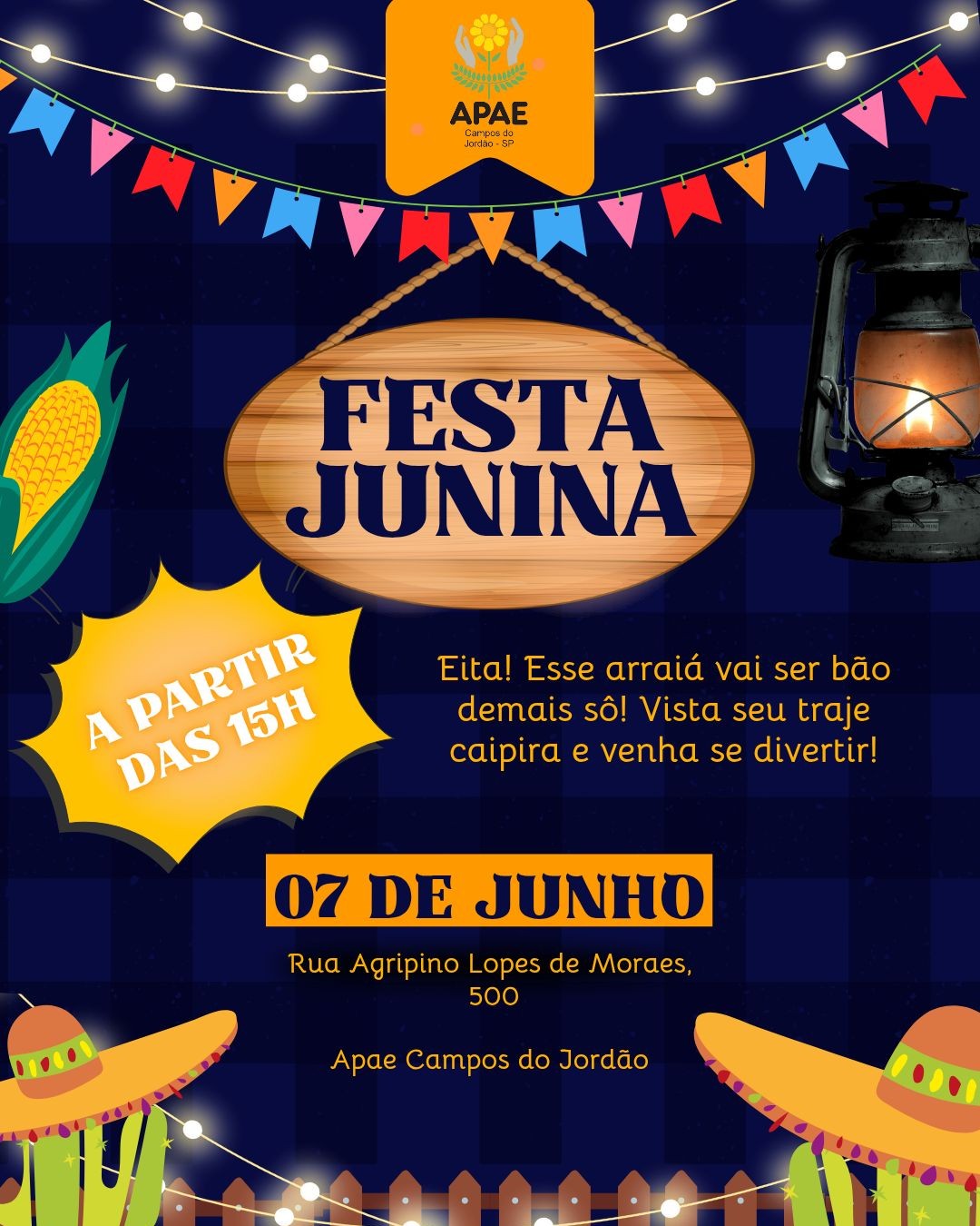 festa junina da apae