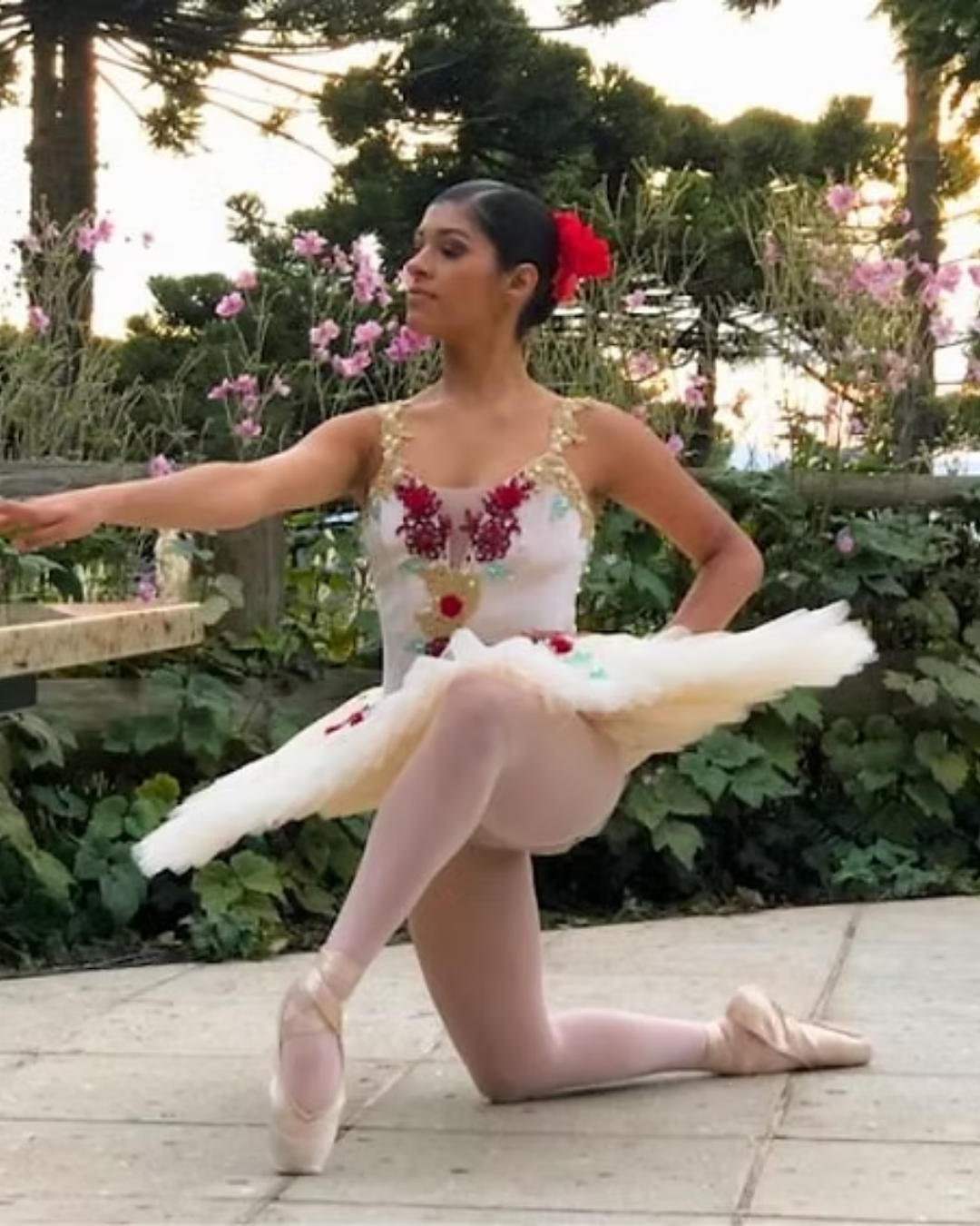 vanessa ballet2