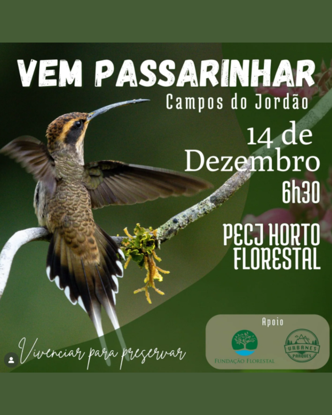 Design sem nome