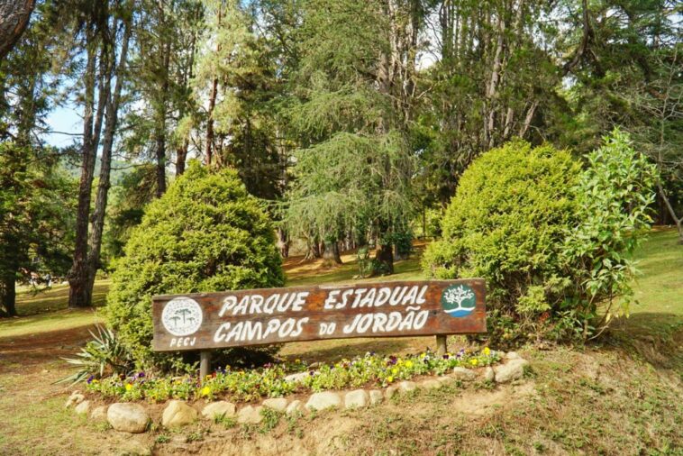Horto Florestal - Parque Estadual de Campos do Jordão