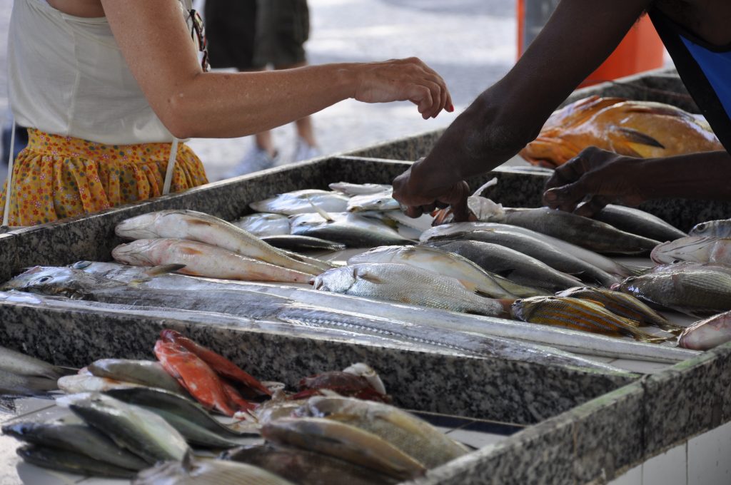 No caso da tilápia e do salmão frescos, é fundamental observar se o pescado apresenta textura firme, aspecto úmido e aparência brilhante, características que indicam boas condições de conservação.