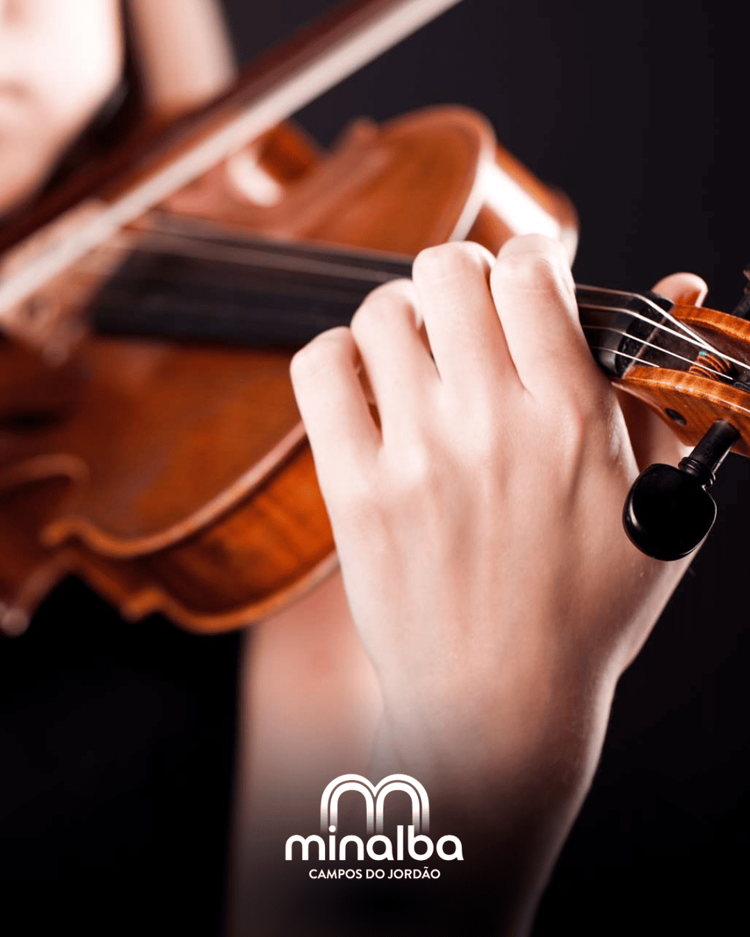 camerata cordas