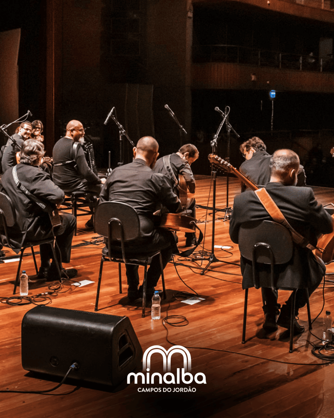 filarmonica de violas