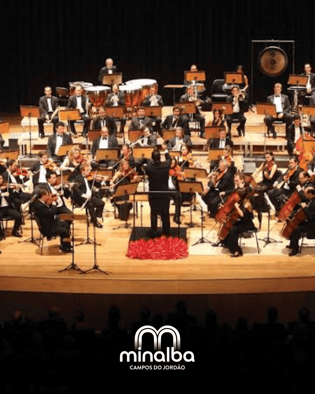 orquestra campinas